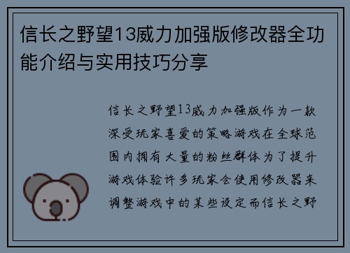 信长之野望13威力加强版修改器全功能介绍与实用技巧分享